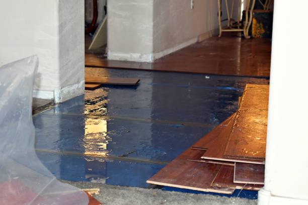 Professional Basement Flood Cleanup technician working in Little River, AL